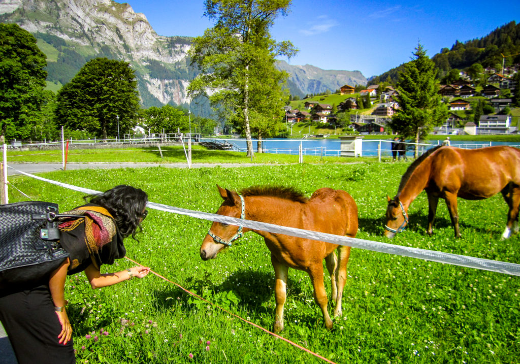 engelberg